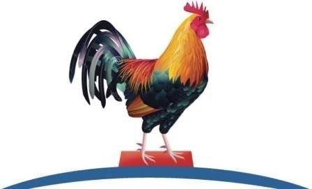 Resultado de imagen para gallito