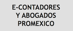 E-CONTADORES Y ABOGADOS PROMEXICO 