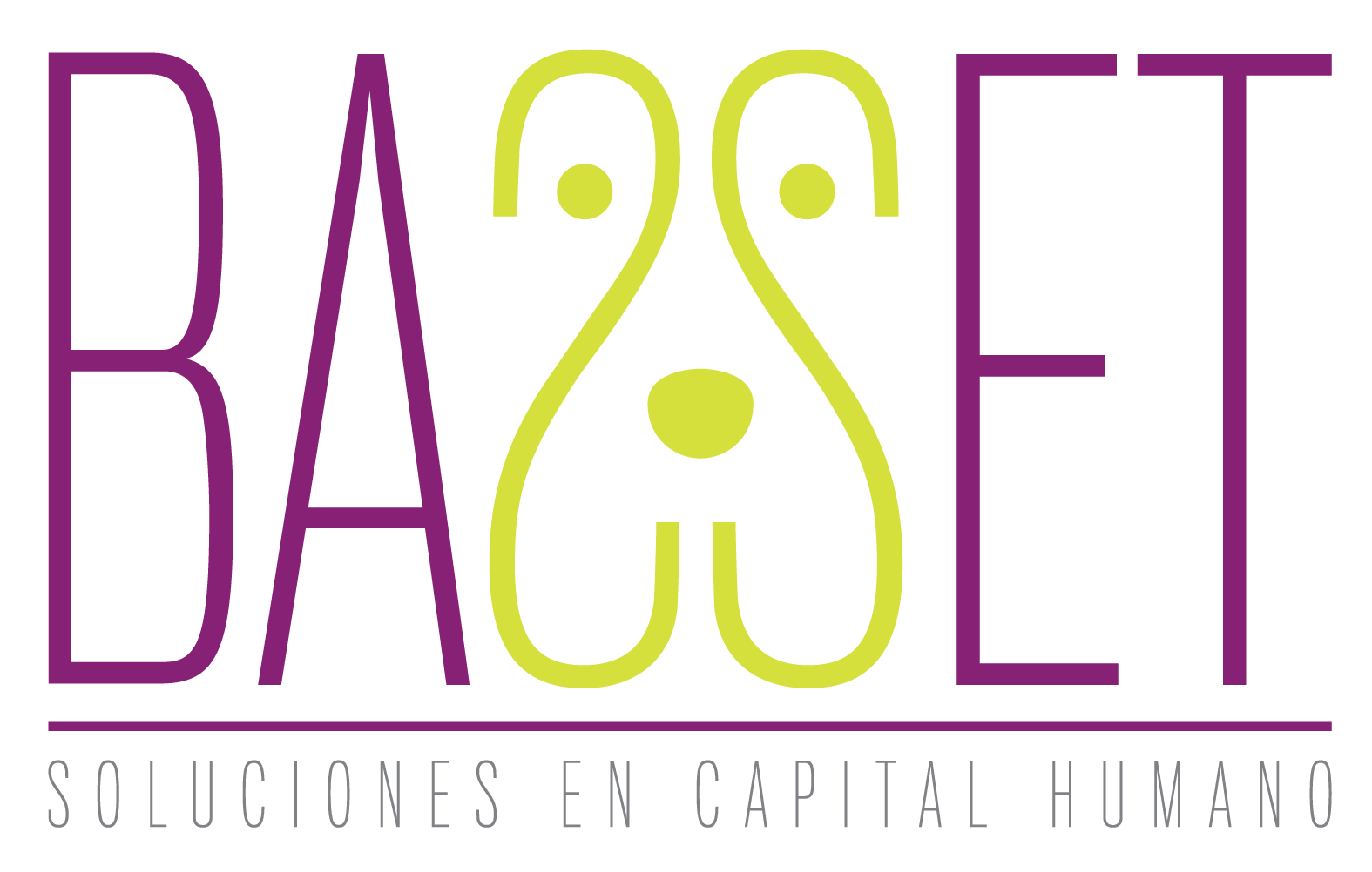 Basset Soluciones, SA de CV Basset Soluciones, SA de CV