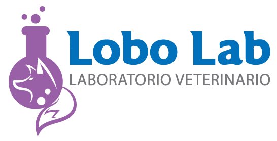laboratorio cihuacoatl laboratorio cihuacoatl