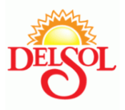 DEL SOL
