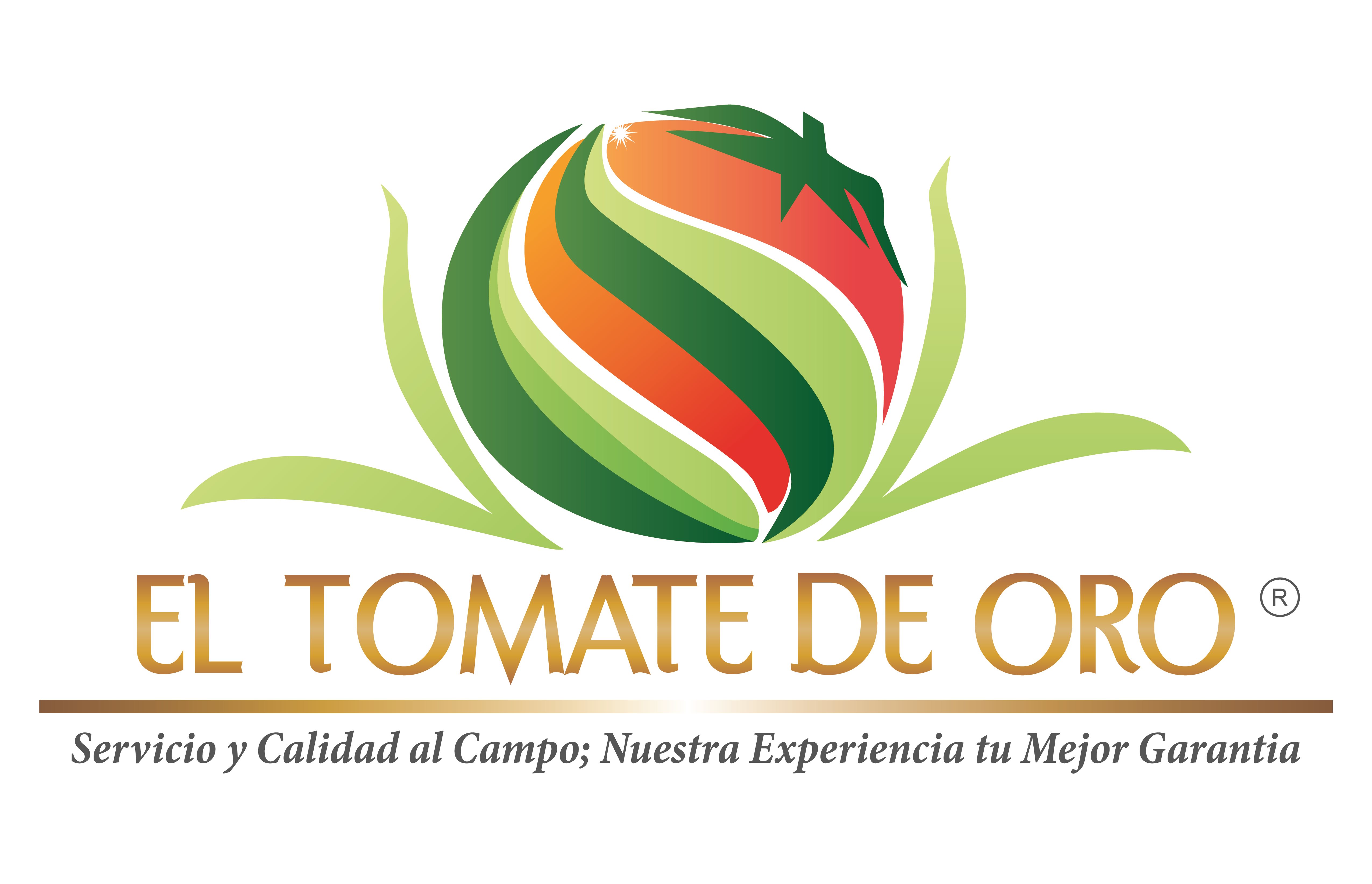 EL TOMATE DE ORO EL TOMATE DE ORO