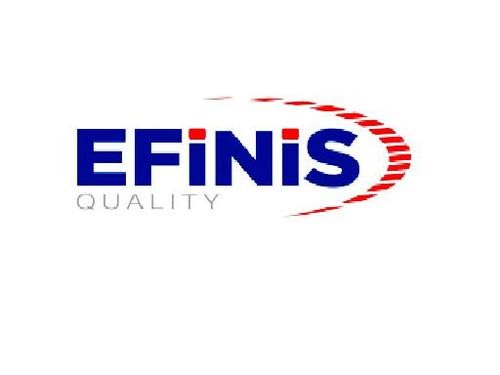 Efinis S.A. de C.V.
