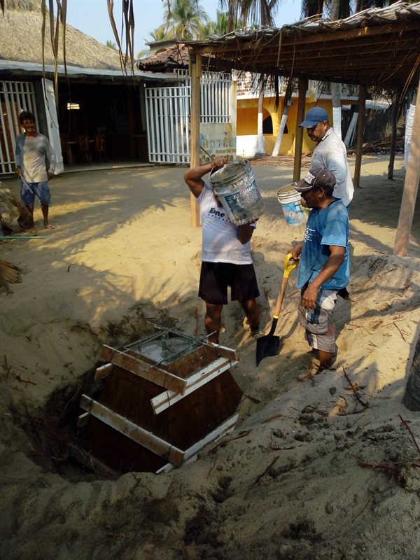 GRUPO ANGO                                                             Collage Photo 1