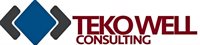 teko well consulting SAS de CV teko well consulting SAS de CV