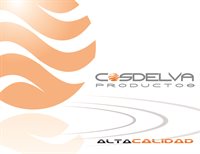 COSDELVA SA DE CV COSDELVA SA DE CV