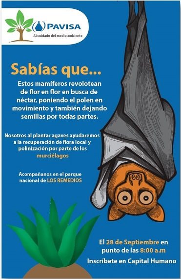 Grupo Pavisa S.A. de C.V. Collage Photo 2