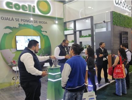 Urvina Servicios Internacionales. Collage Photo 2