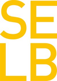 SELB Consulting de Mexico