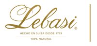 Lebasi Mexico SA de CV Lebasi Mexico SA de CV