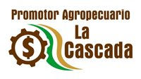 LA CASCADA LA CASCADA