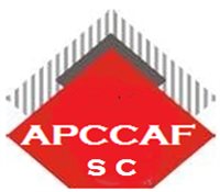 PEREZ BRONCE Y ASOCIADOS SCP PEREZ BRONCE Y ASOCIADOS SCP