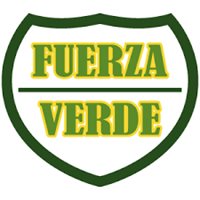 FUERZA VERDE SERVICIOS DE SEGURIDAD PRIVADA S.A. DE C.V. FUERZA VERDE SERVICIOS DE SEGURIDAD PRIVADA S.A. DE C.V.