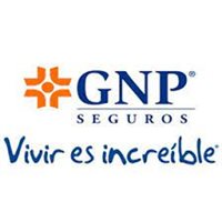 Asesores Financieros GNP grupo Jezreel Asesores Financieros GNP grupo Jezreel