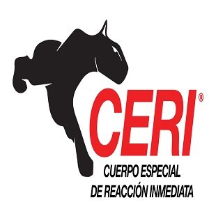 Multisistemas de Seguridad del Valle de México S.A. de C.V.