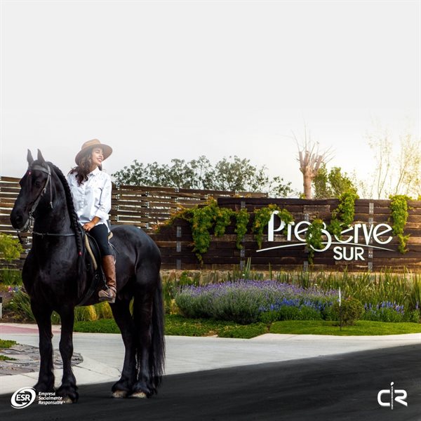 Complejos Residenciales Collage Photo 2