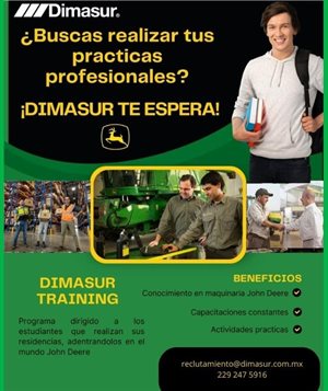 Dimasur Collage Photo 0