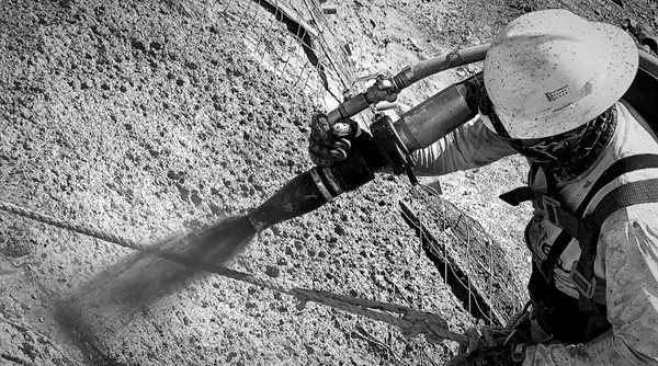 FORTEC Collage Photo 0