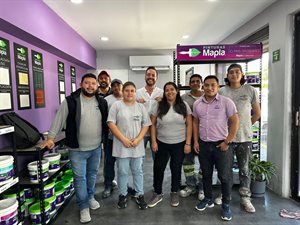 MAPLA PROYECTOS Y DESARROLLO DE PINTURAS Y PASTAS SAPI DE CV Collage Photo 4