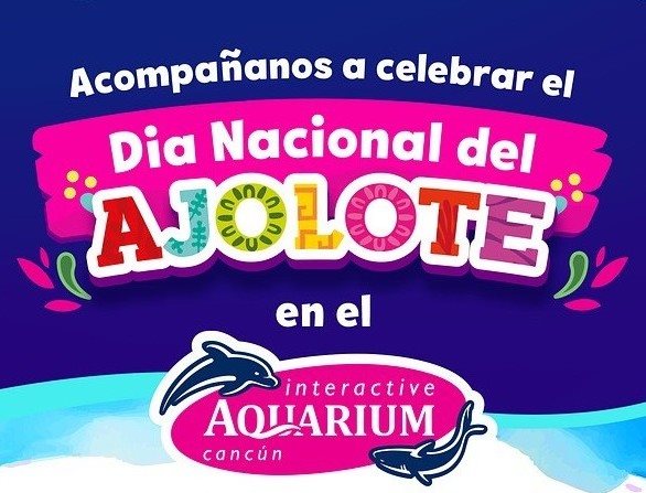 Delphinus Collage Photo 1