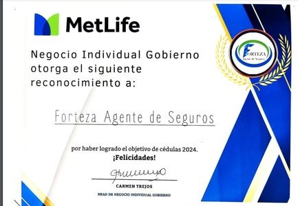 FORTEZA AGENTE DE SEGUROS Collage Photo 0