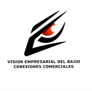 Vision Empresarial Del Bajio
