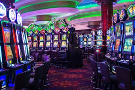 Twin Lions Collage Photo 0