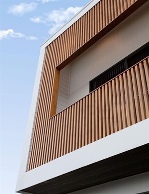 CAO CAO  Collage Photo 0