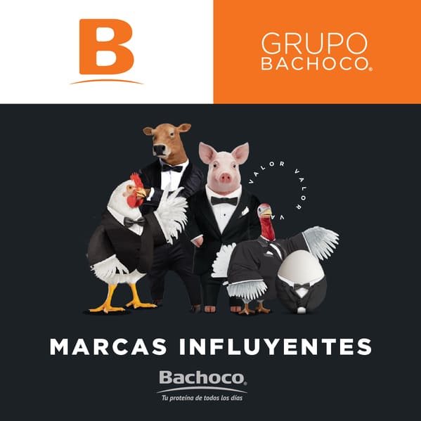 Grupo Bachoco Collage Photo 0