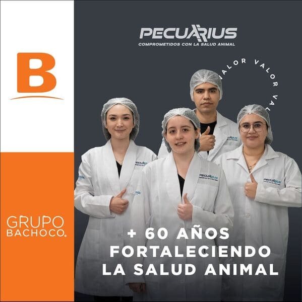 Grupo Bachoco Collage Photo 1