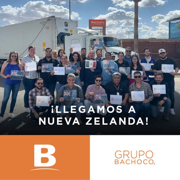 Grupo Bachoco Collage Photo 2