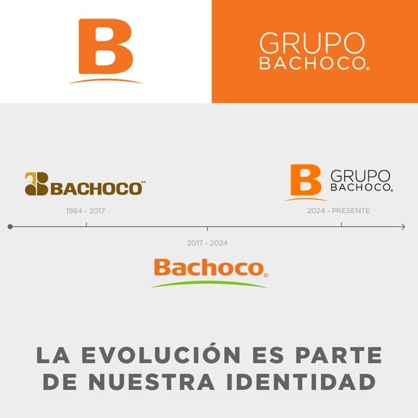 Grupo Bachoco Collage Photo 3