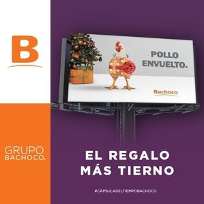 Grupo Bachoco