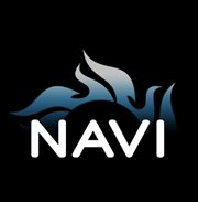 NAVI ASESORES logo