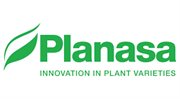 PLANASA MEXICO SA DE CV
