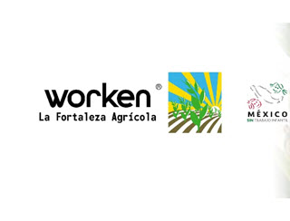 Trabajar en Worken México - Información Laboral Agosto 2026