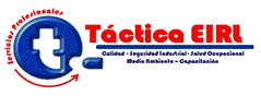 Servicios Profesionales Tactica EIRL Servicios Profesionales Tactica EIRL