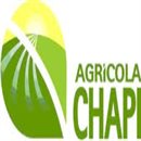 Trabajar en Agricola Chapi Perú - Información Laboral Agosto 2024