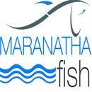 Logo de MARANATHA FISH