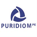 Puridiom-PE S.A.C. Puridiom-PE S.A.C.