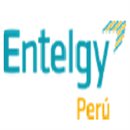 Entelgy Peru