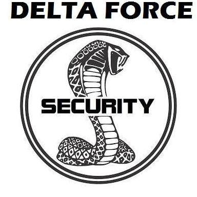DF SECURITY e.i.r.l. DF SECURITY e.i.r.l.