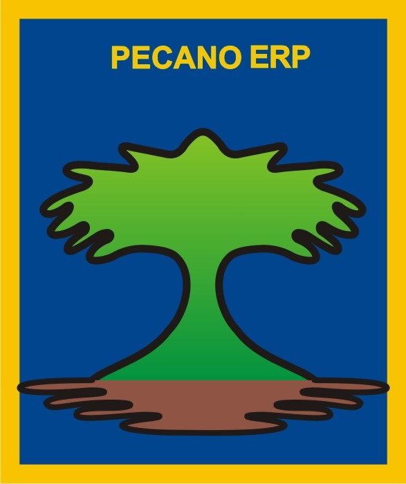 PECANO ERP SAC PECANO ERP SAC