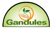 Gandules Inc. SAC. Gandules Inc. SAC.
