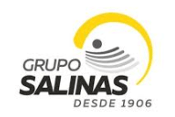 Grupo Salinas