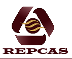 Representaciones Castillo S.A. Representaciones Castillo S.A.