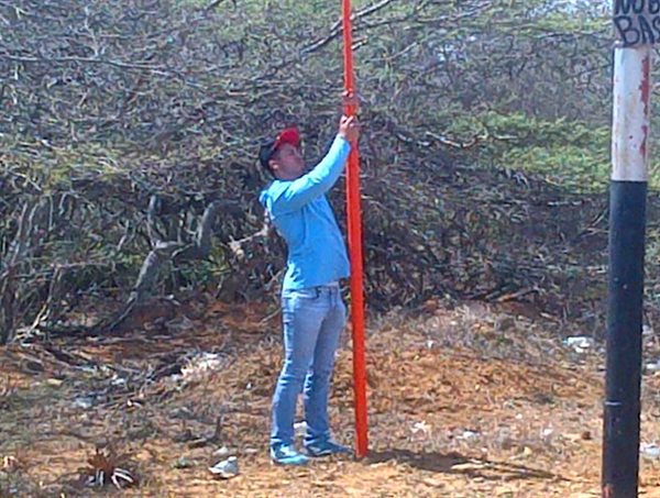 Consorcio Sesga Reyser Collage Photo 3