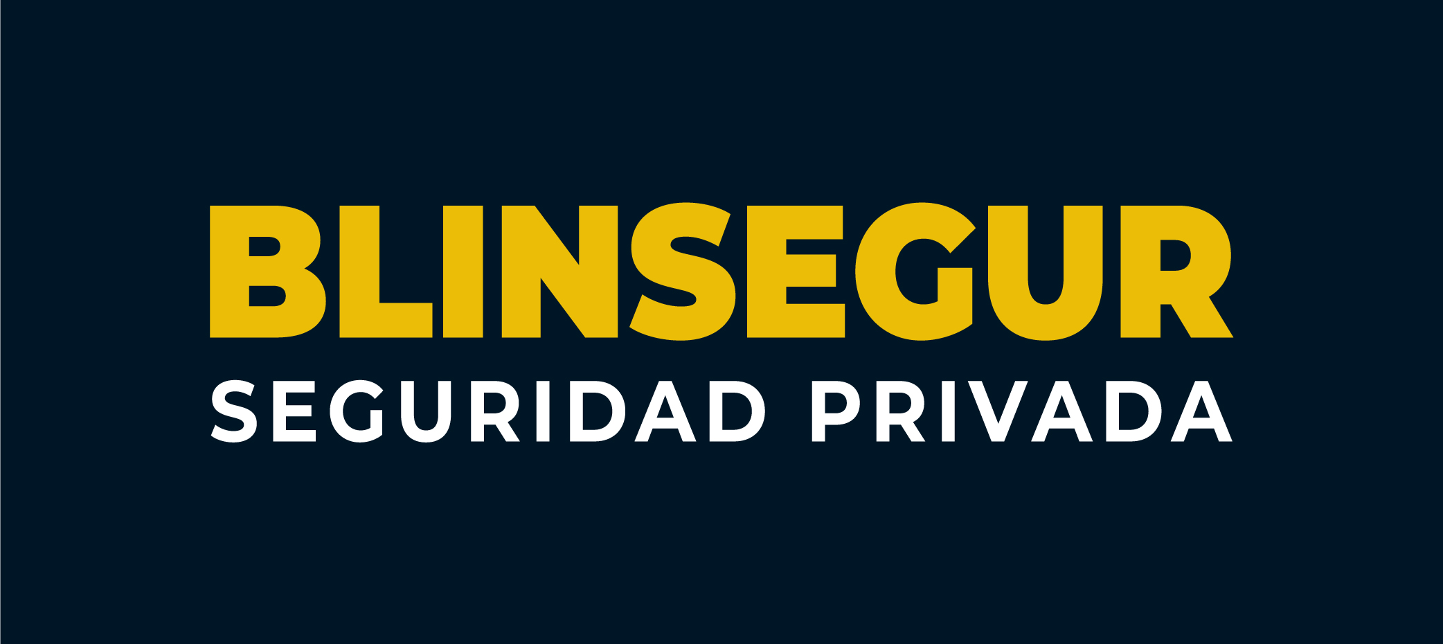 BLINSEGUR S.R.L. BLINSEGUR S.R.L.
