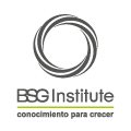 BSG Institute BSG Institute