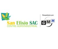 SAN EFISIO SAC SAN EFISIO SAC
